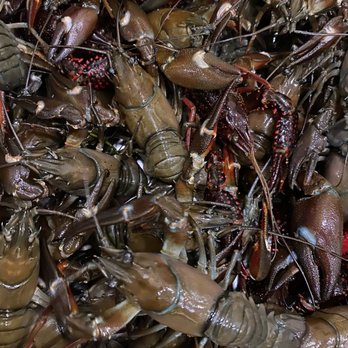 Cliff's Marina - a large pile of lobsters - Seafood Markets Near Me - Sacramento, California