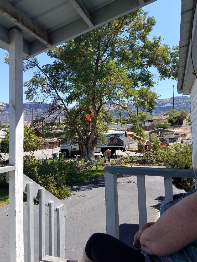 PAUL BUNYAN TREE SERVICE Updated July 2024 1123 4th St SE, East