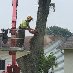 Hudson & Sons Tree Service