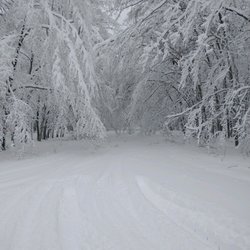 Lost Lake Woods Club