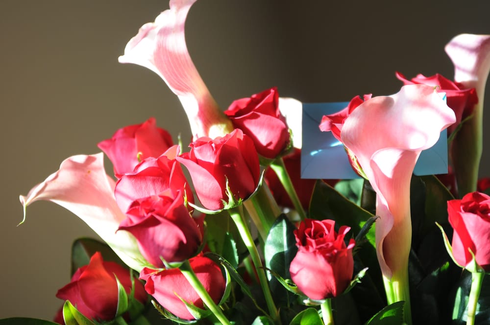 THOMAS RIPLEY FLOWERS Updated September 2024 1005 Park Central Ave