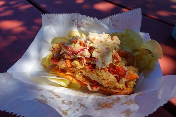 Bite into Maine by null