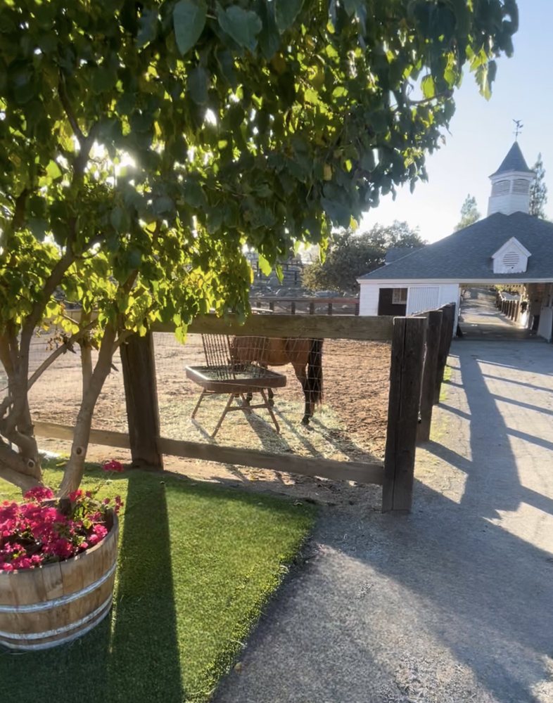 Olivewood Acres - equestrian in Alpine, CA