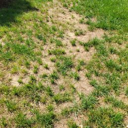 What weedman aerating looks like :(