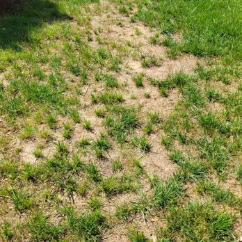 Weed Man - What weedman aerating looks like :( - Pest Control Near Me - Annapolis, Maryland
