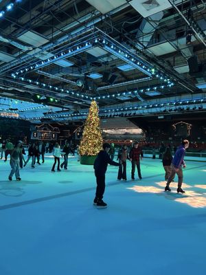 Snoopy's Home Ice by null