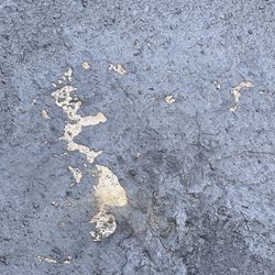 Driveway Sealing Call Frank