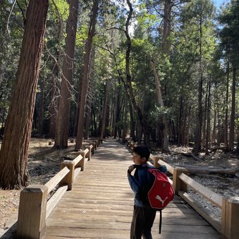 Lower Yosemite Falls - Parks Near Me Lower Yosemite Falls - Parks Near Me