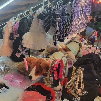 Open LA Store - Clothes for the puppies and feline members of the family - Juice Bars & Smoothies Near Me - Los Angeles, California Open LA Store - Clothes for the puppies and feline members of the family - Juice Bars & Smoothies Near Me - Los Angeles, California