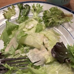 Rotten salad at top of plate Rotten salad at top of plate