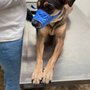 Photo of Value Vet