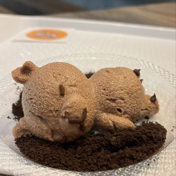 Seoul Drop - Chocolate bear was light and delicious! - Korean Near Me - Rochester, New York