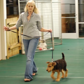 Paws and Claws - Obedience class - Pet Groomers Near Me - Hudson, Wisconsin