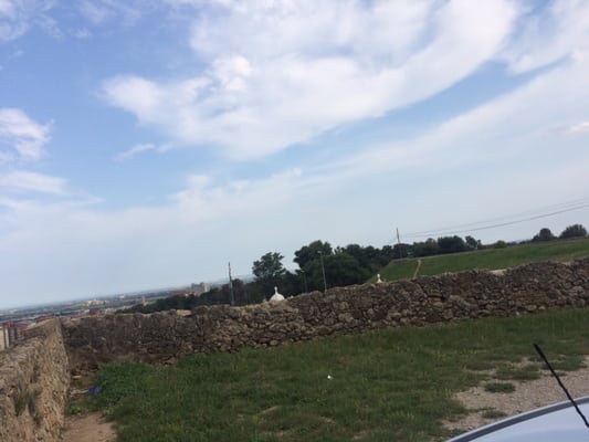 Castell de Sant Ferran by null