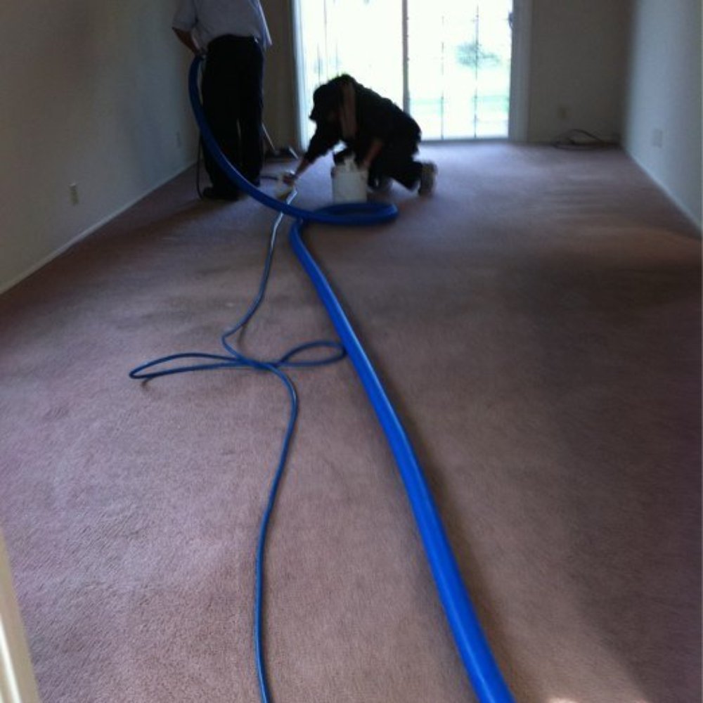 ANS Carpet Cleaning - Carpet Cleaning Near Me