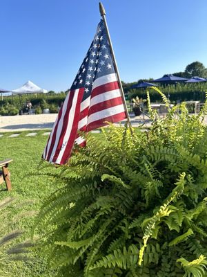 Peconic Bay Vineyards by Krissie Wines by null