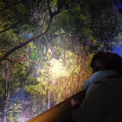 Panorama am Zoo - Faszination des tropischen Regenwalds