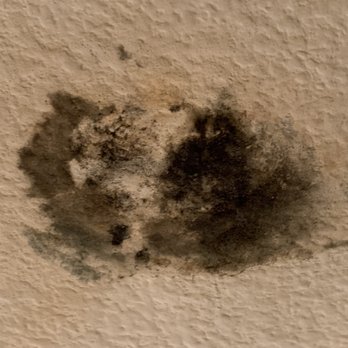 Bayview Tower - Black mold that has had us all sick with respiratory, memory, mood swings, severe headaches, and pain issues. - Apartments Near Me - National City, California Bayview Tower - Black mold that has had us all sick with respiratory, memory, mood swings, severe headaches, and pain issues. - Apartments Near Me - National City, California