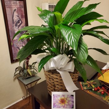 Urban Florist - Florists Near Me - Los Angeles, California Urban Florist - Florists Near Me - Los Angeles, California