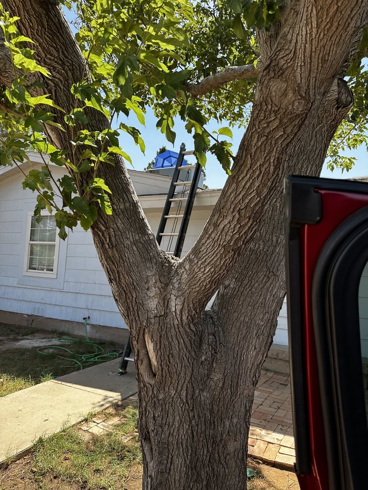 ARTIC AIR HEATING & AIR CONDITIONING Updated October 2024 18 Photos