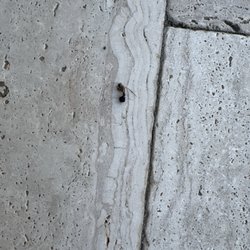 SkyRun Vacation Rentals - Poop