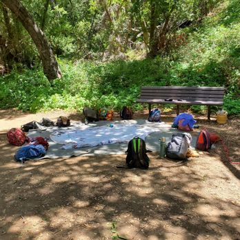 Nojoqui Falls County Park - School groups come here. - Parks Near Me - Solvang, California Nojoqui Falls County Park - School groups come here. - Parks Near Me - Solvang, California