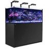 Fishy Fish Fish gift card