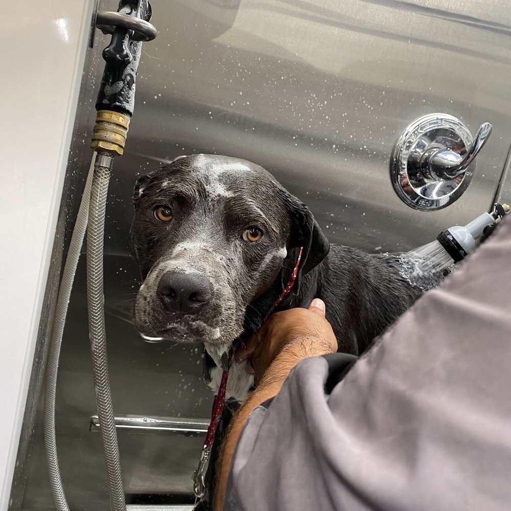 During her service a little scared and nervous. During her service a little scared and nervous.