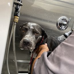During her service a little scared and nervous. During her service a little scared and nervous.