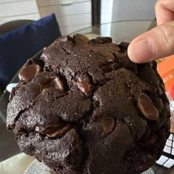 The Hive - House-Made double Chocolate Chip Cookie - Coffee & Tea Near Me - Jersey City, New Jersey The Hive - House-Made double Chocolate Chip Cookie - Coffee & Tea Near Me - Jersey City, New Jersey