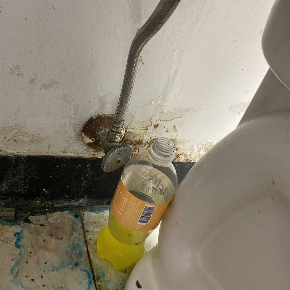 Dollar Tree - Pee in a bottle behind the toilet - Discount Store Near Me - Saint Augustine, Florida