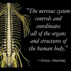Harlingen Chiropractic Accident & Injury Clinic