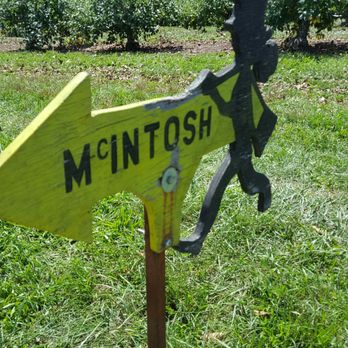 Johnny Appleseed Farm - a sign for a mini fish farm - Fruits & Veggies Near Me - Ellington, Connecticut Johnny Appleseed Farm - a sign for a mini fish farm - Fruits & Veggies Near Me - Ellington, Connecticut