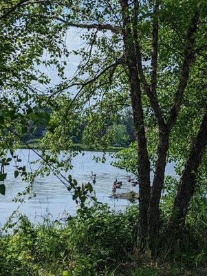 Lake of the Isles Park by null