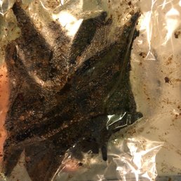 Kho Bo ( Gan Bo / Dried Beef Liver) Kho Bo ( Gan Bo / Dried Beef Liver)