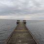 Photo of Pettigrew State Park