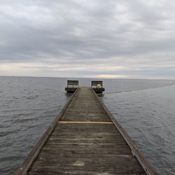 Pettigrew State Park - The lake with nobody in it