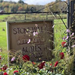 Stone Wall Acres Bed & Breakfast