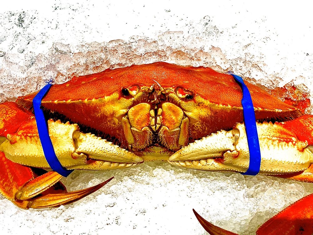 Way Back Crab Shack, Seattle Roadtrippers