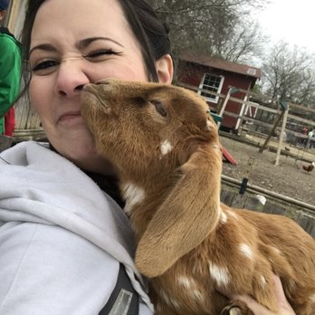 Cathy's Critters - Petting Zoos Near Me - Princeton, Texas Cathy's Critters - Petting Zoos Near Me - Princeton, Texas