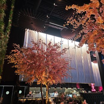 Three Thirty Three - Steakhouses Near Me - Tempe, Arizona