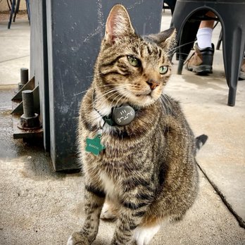 The Daily Ration - The charming hostess - Breakfast & Brunch Near Me - Chattanooga, Tennessee