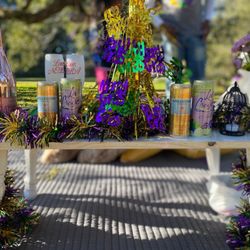 Gather 'N Chill - Mardi Gras theme picnic