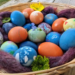 Marigold Children's Garden - Natural-Dyed Eggs for our Egg Hunt