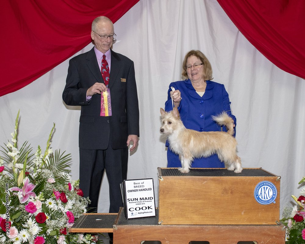 AUBURN GROOMERS Updated August 2024 12 Reviews 209 Nevada St