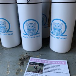 Blue Owl Coffee - East Lansing - Blue Owl Coffee
