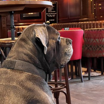 The King's Head - Gastropubs Near Me - London, XGL The King's Head - Gastropubs Near Me - London, XGL