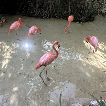 Xcaret Park - Amusement Parks Near Me - Playa del Carmen, ROO