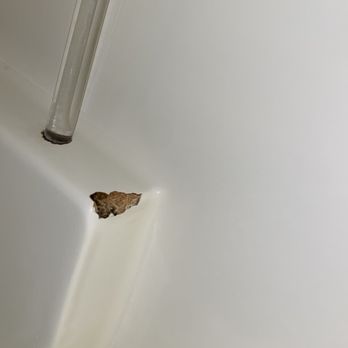 Quality Inn & Suites - This was the bathroom shower/tub. Huge chunk missing out of the bathtub - Hotels Near Me - Hannibal, Missouri