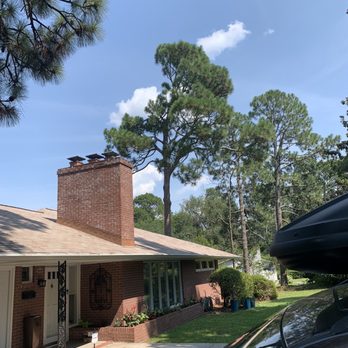 Southern Tree Removal - Tree Services Near Me